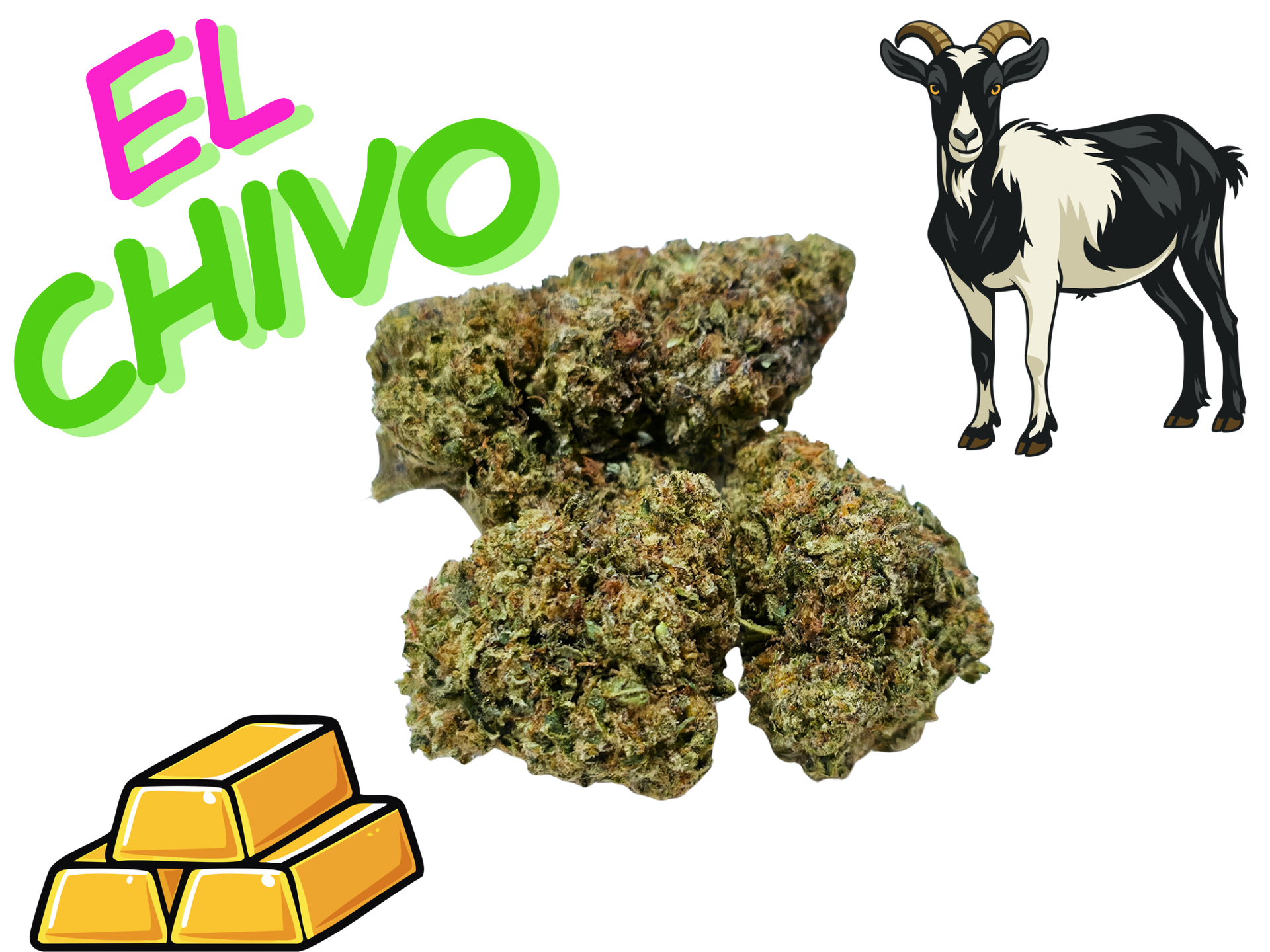 *NEW*El Chivo- Gold Tier- THCa- Indica / 1g